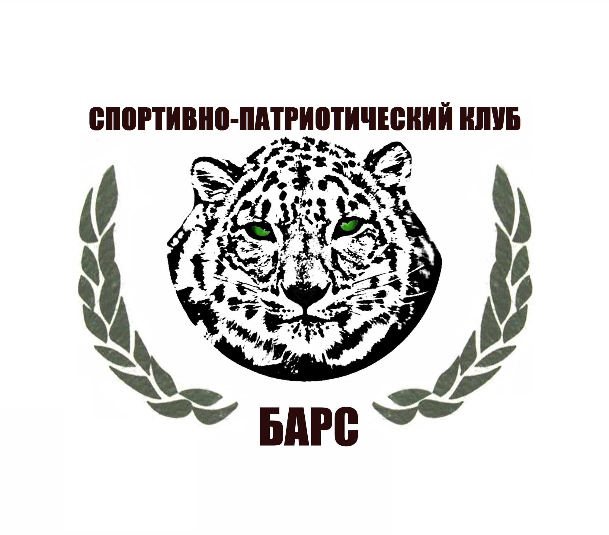 Барс мэи